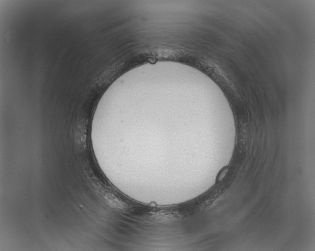 X0000073870545200609071701