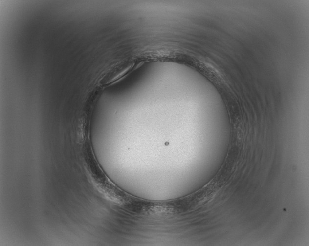 X0000073870546200609071701