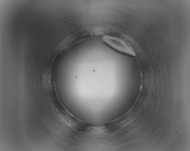 X0000073870548200609071702