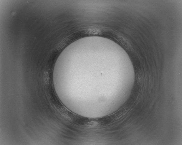 X0000073870551200609071702