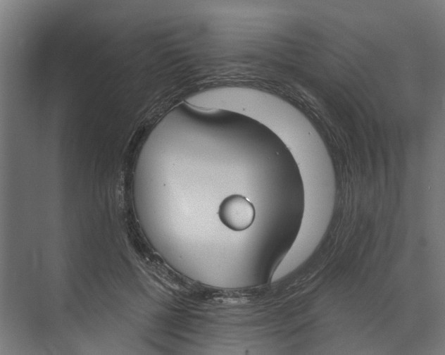 X0000073870552200609071702