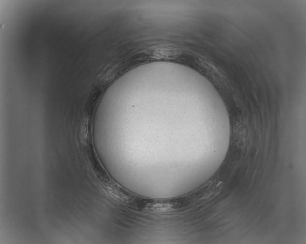 X0000073870554200609071702