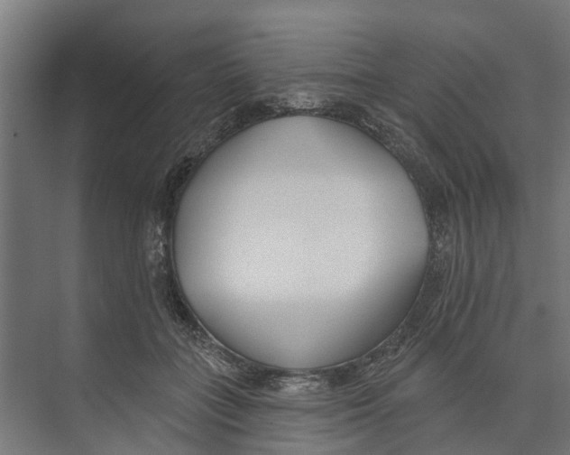 X0000073870555200609071702