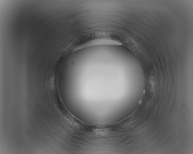 X0000073870556200609071702