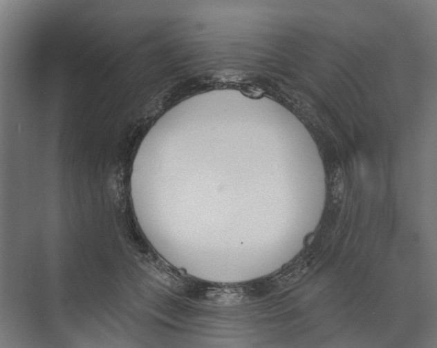 X0000073870559200609071702