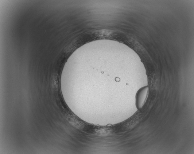 X0000073870561200609071702