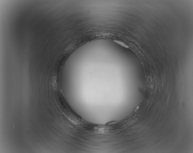 X0000073870564200609071702