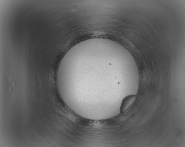 X0000073870565200609071702