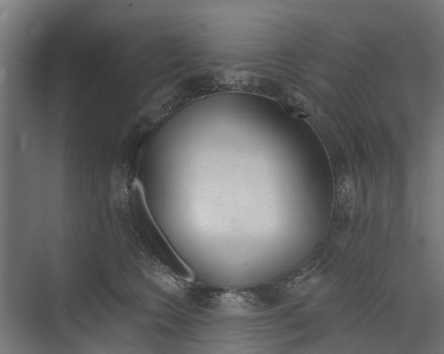 X0000073870566200609071702