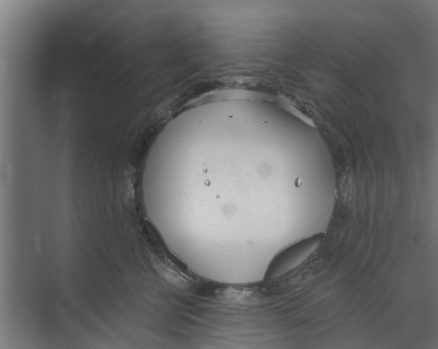 X0000073870570200609071702