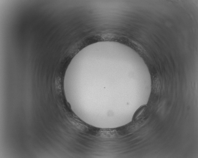 X0000073870571200609071702