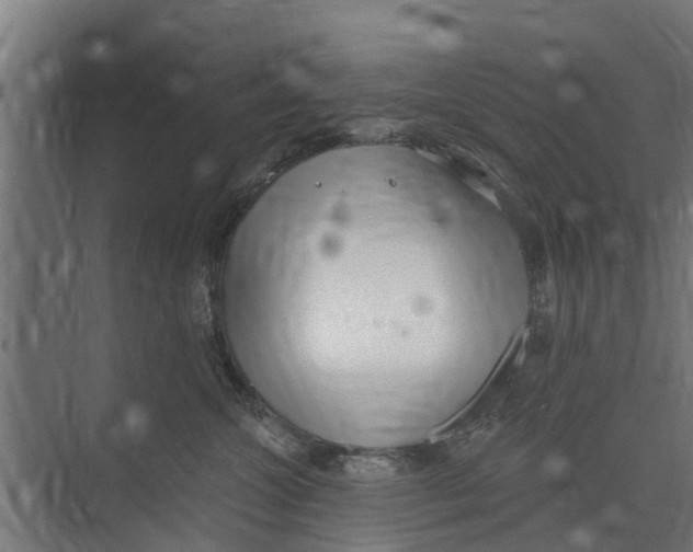 X0000073870572200609071702