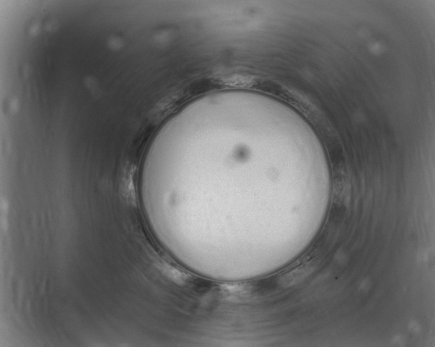 X0000073870573200609071702