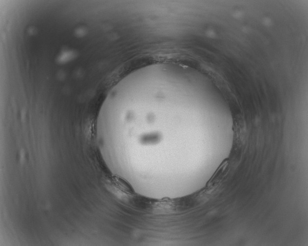 X0000073870574200609071702