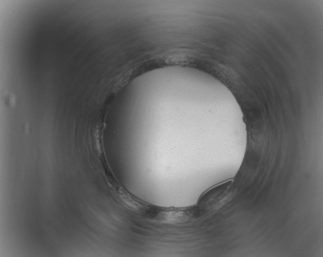 X0000073870575200609071702