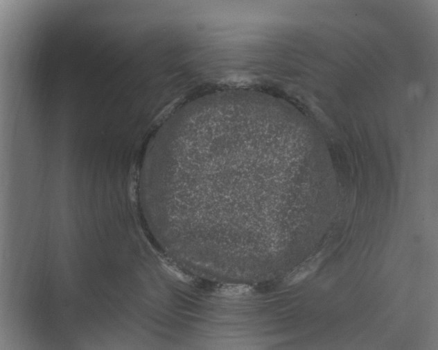 X0000073870576200609071702