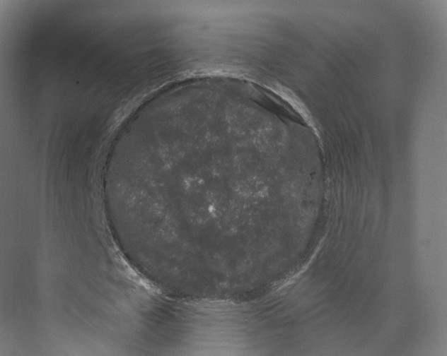 X0000073870577200609071701