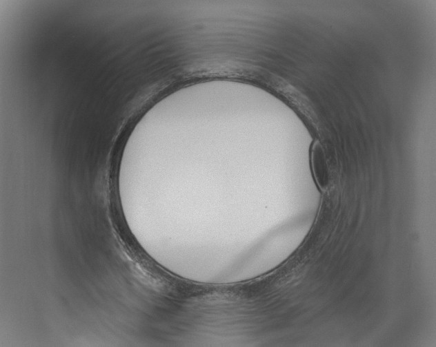 X0000073870578200609071701