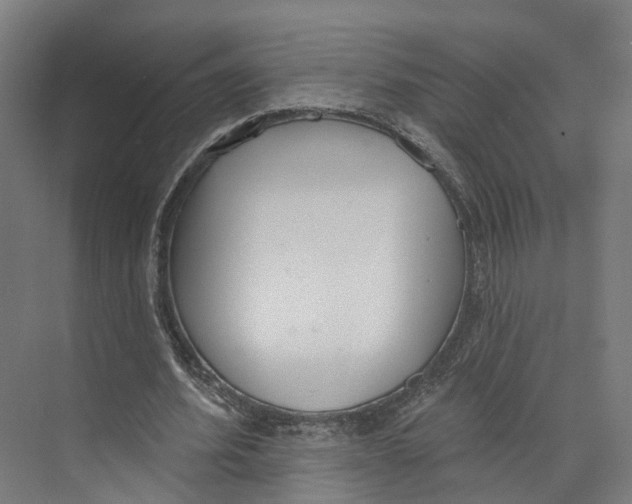 X0000073870580200609071701