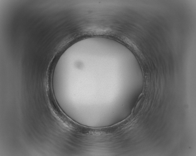 X0000073870582200609071701