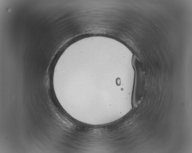 X0000073870584200609071701