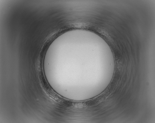 X0000073870587200609071701