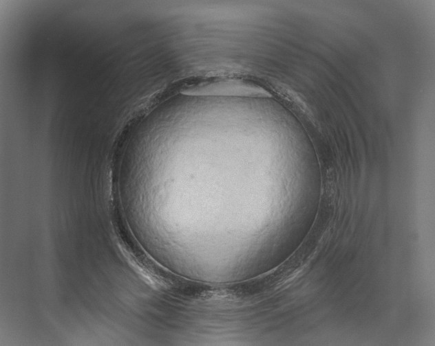 X0000073870589200609071701