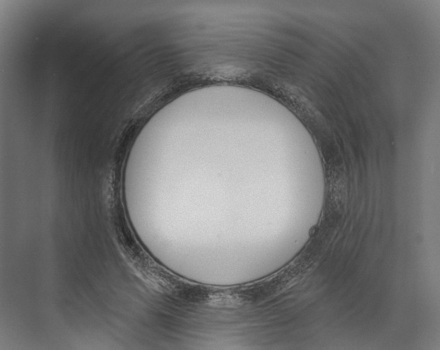 X0000073870591200609071701