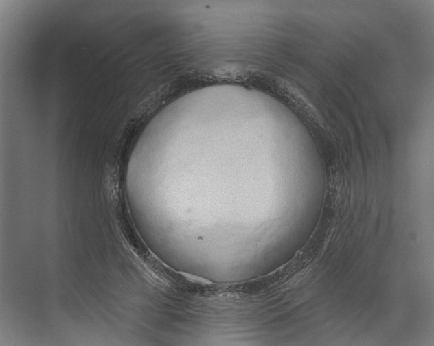 X0000073870593200609071701