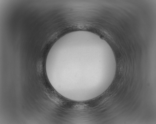 X0000073870595200609071701