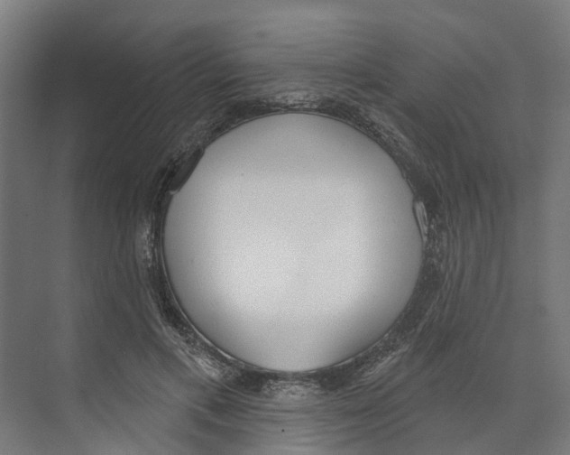 X0000073870597200609071701