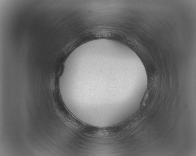 X0000073870600200609071701