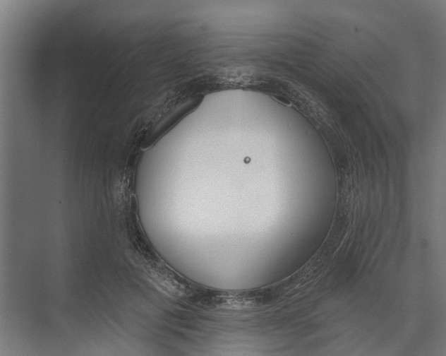 X0000073870601200609071701