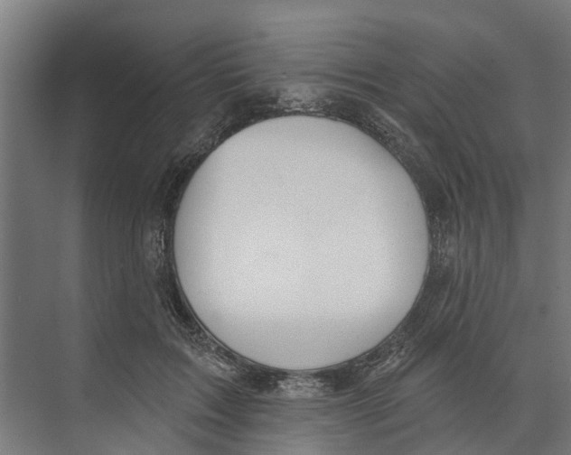 X0000073870603200609071701