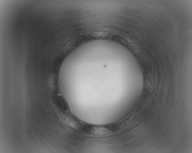 X0000073870605200609071701