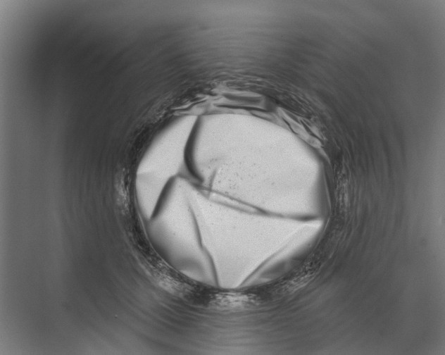 X0000073870607200609071701