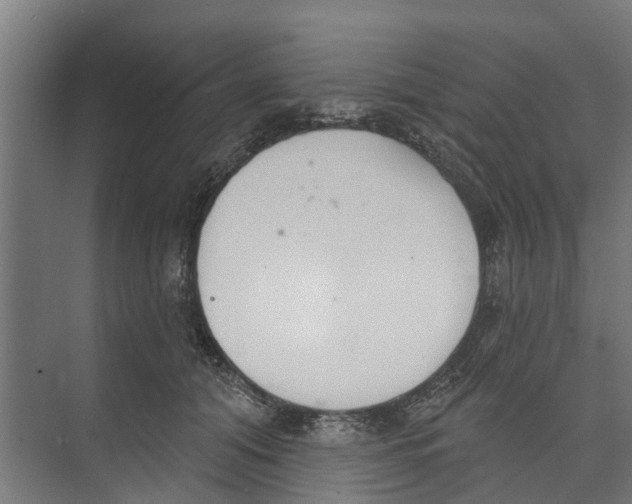 X0000073870608200609071701