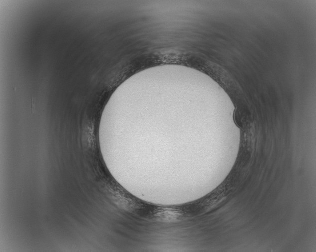 X0000073870610200609071701