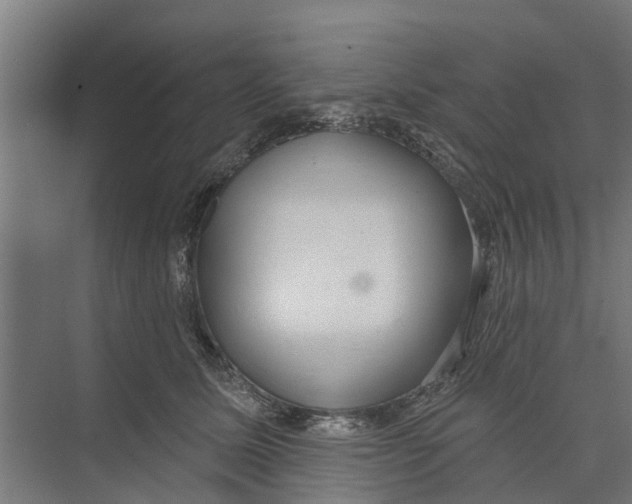 X0000073870611200609071701