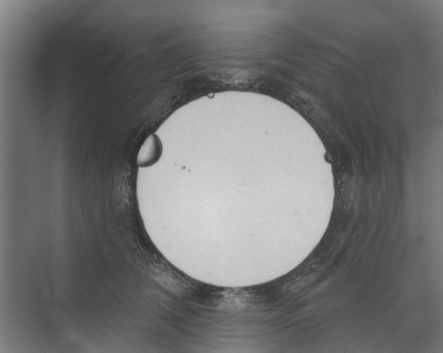 X0000073870612200609071701