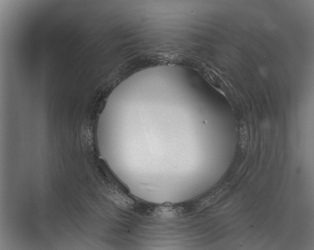 X0000073870613200609071701