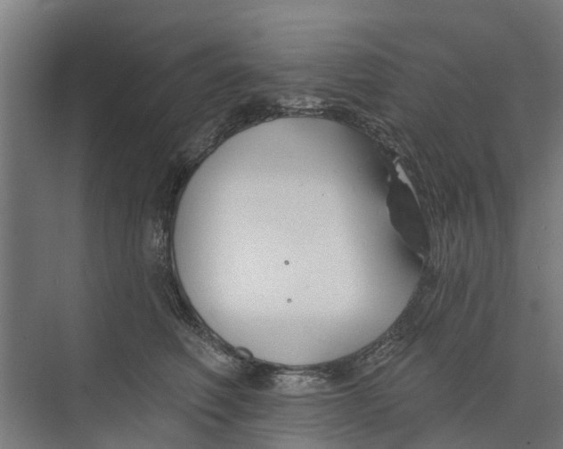 X0000073870614200609071701