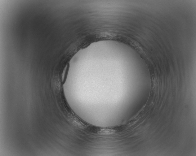 X0000073870617200609071701