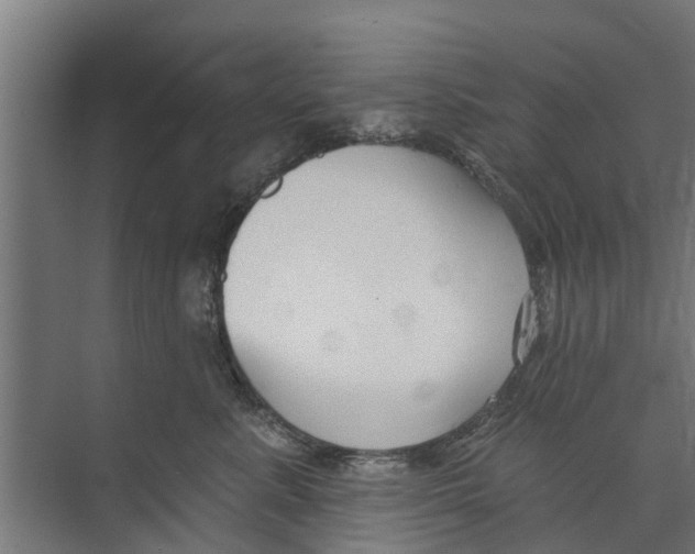 X0000073870619200609071700