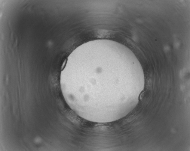 X0000073870620200609071700