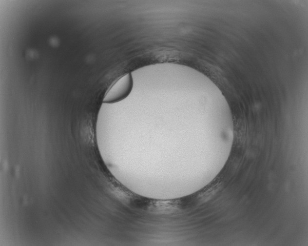 X0000073870622200609071700