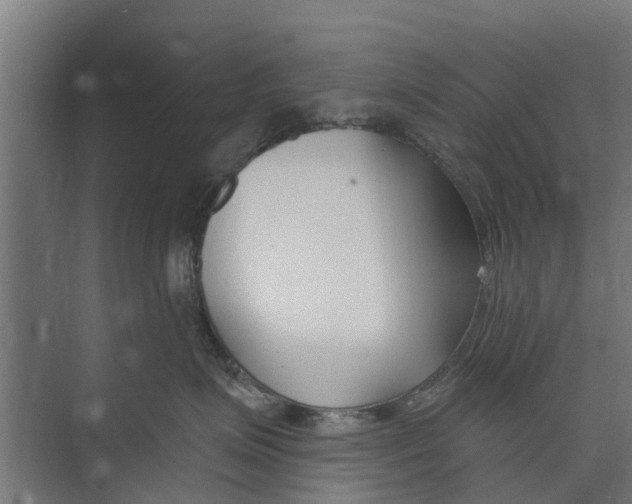 X0000073870623200609071700