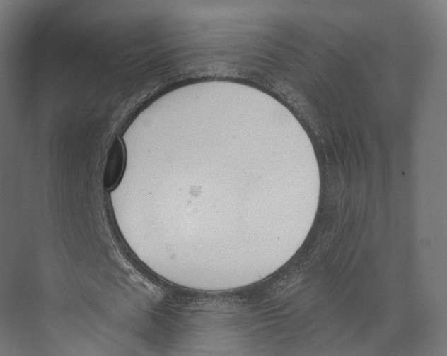 X0000073870625200609071700