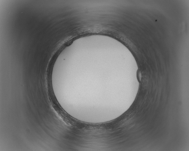 X0000073870626200609071700