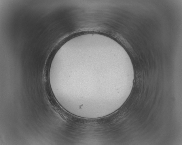 X0000073870628200609071700